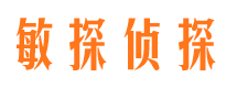 红桥市侦探调查公司